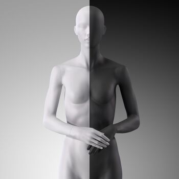 Omnia Torsos