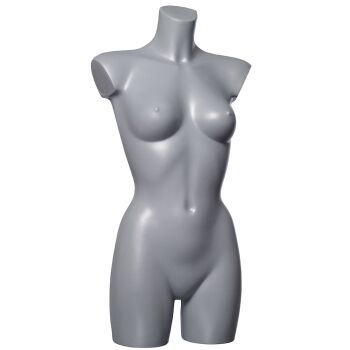 BASIC Torsos