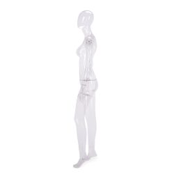 CRYSTAL CLEAR transparente Damenfigur F02