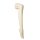 ORTHOPEDIC Damen Bein-Display OTWFL03 ivory