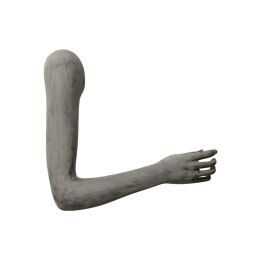 ORTHOPEDIC female arm-display OTWFAO1R