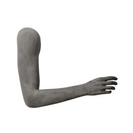 ORTHOPEDIC male arm-display OTWMAO1R