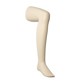 ORTHOPEDIC Herren Bein-Display OTWML03 ivory