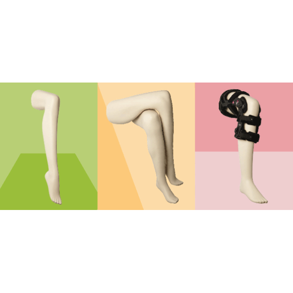 ORTHOPEDIC Damen Hosenbein-Display OTWFL04 ivory