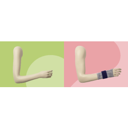 ORTHOPEDIC female arm-display OTWFA01