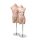 BASIC-BODY Herren-Torso, hautfarbig inkl. Ständer, 102346