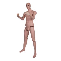 MUSEUM bewegliche Herrenfigur YM40 (HM01), realistisch hautfarbig inkl. Standfuß