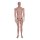 MUSEUM movable male mannequin YM40 skintone