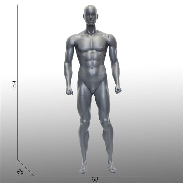 Body Fit Herren-Sportfigur FX50