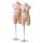 BASIC-BODY Damen-Torso XXL, hautfarbig, inkl. Ständer, 102322