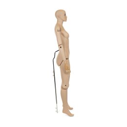 MUSEUM bewegliche Damenfigur YF50, realistisch hautfarbig inkl. Standfuß