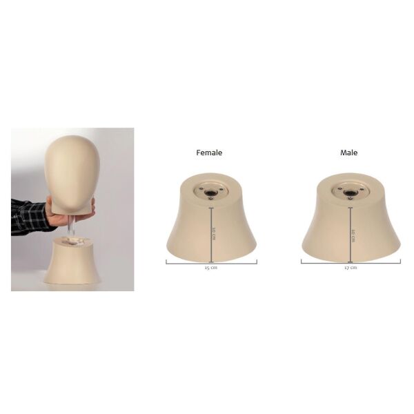 NECKLOCK Herrenkopf mit Hals, selbststehend