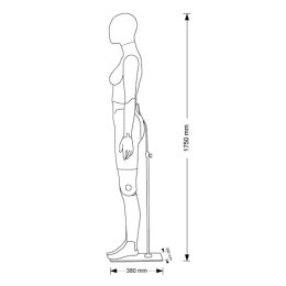 LIVELYMEN articulated female mannequin 00800B with head Volo