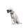 Dog German shorthaired pointer, pos. 2