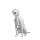Dog German shorthaired pointer, pos. 2 closed
