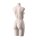 SENSUAL Unterwäschen-Torso, Dame mit B-Cup, SENF001 hautfarbig