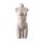 SENSUAL Unterwäschen-Torso, Dame mit C-Cup, SENF002 hautfarbig