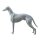 Dog-mannequin "greyhound" LT, standing white