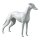 Dog-mannequin "greyhound" LT, standing white