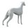 Dog-mannequin "greyhound" LT, standing white