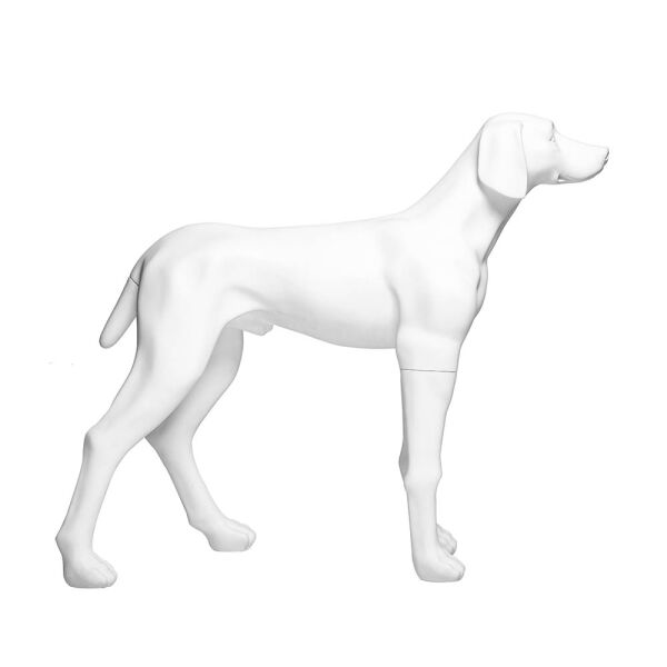 Dog mannequin G6 standing matt-white