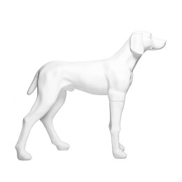 Dog mannequin G6 standing matt-white