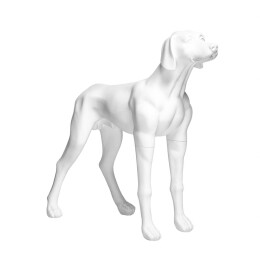 Dog mannequin G6 standing matt-white