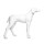 Dog mannequin G6 standing matt-white