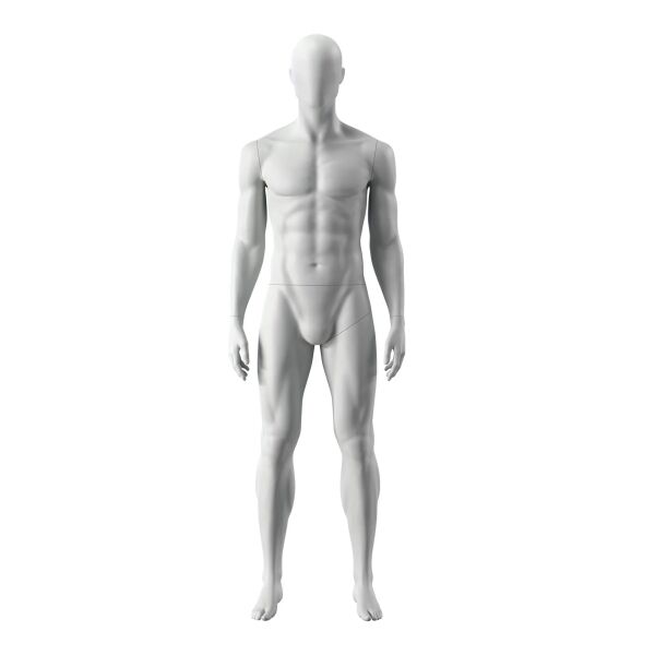 IN SHAPE Sport-Herrenfigur, Regular Size, INSM301H401F_GR3