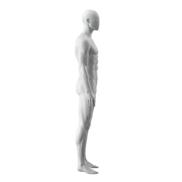 IN SHAPE Sport-Herrenfigur, Regular Size, INSM301H401F_GR3