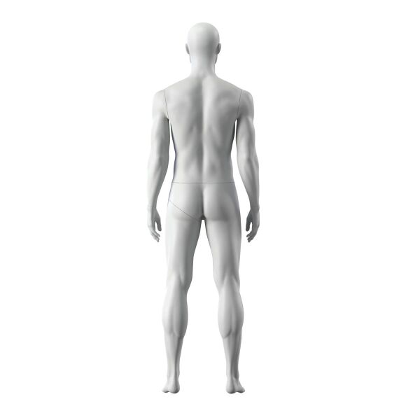 IN SHAPE Sport-Herrenfigur, Regular Size, INSM301H401F_GR3