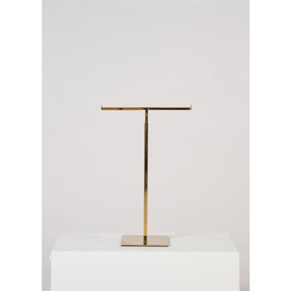 GOLDEN GLANCE T-Display AX-1