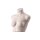 SENSUAL Unterwäschen-Torso, Dame kurz mit B-Cup, SENF001 hautfarbig