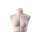 SENSUAL Unterwäschen-Torso, Dame kurz mit B-Cup, SENF001 hautfarbig