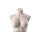 SENSUAL Unterwäschen-Torso, Dame kurz mit D-Cup, SENF003 hautfarbig